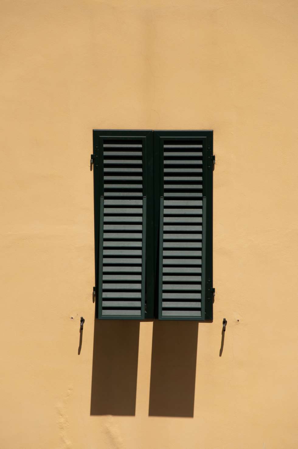 persienne verte 