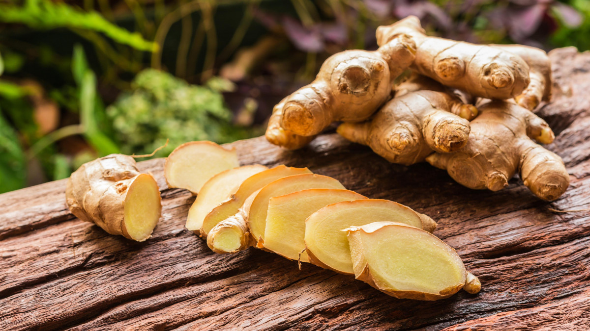 aphrosdisiaque gingembre exitant megadico définition