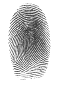 empreinte digitale sur fond blanc