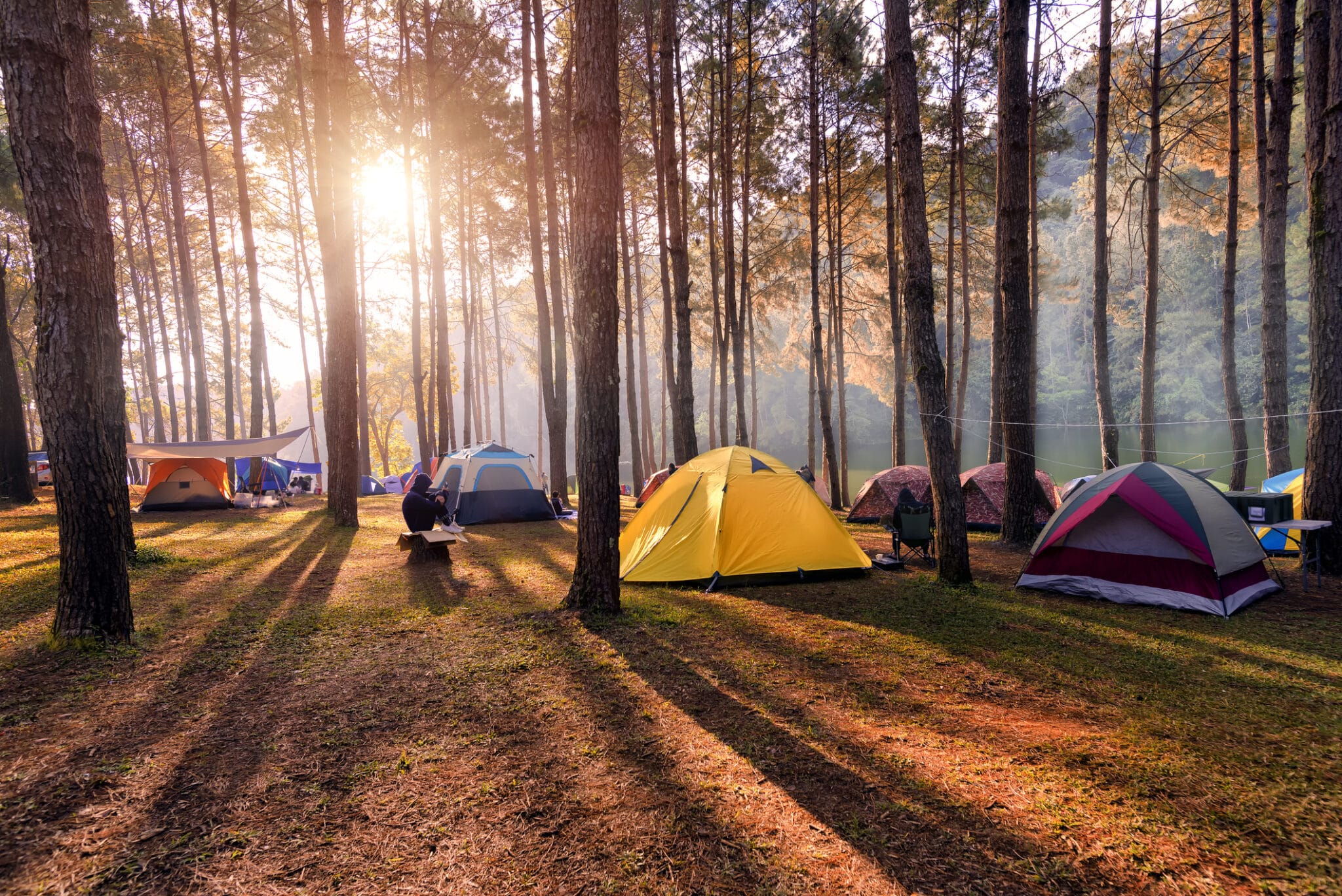 camp de camping dans les pins avec soleil