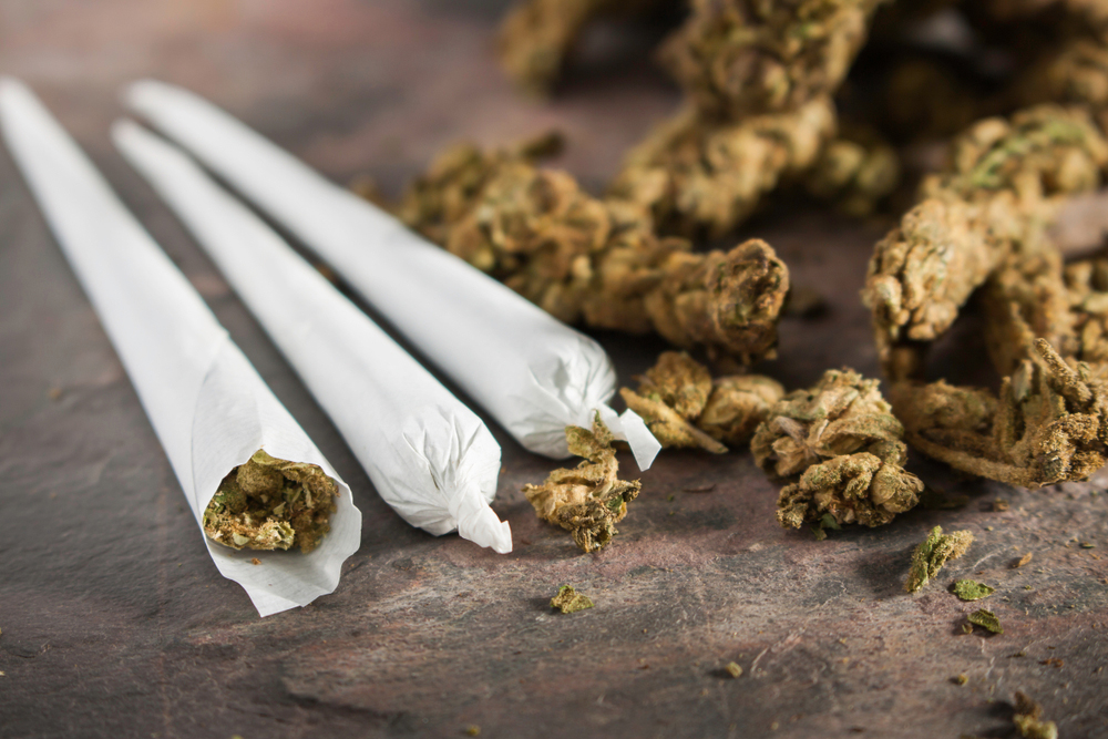 joints de cannabis avec plante séchée de cannabis pour fumer ganja 