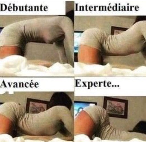 meme sur levrette débutante intermédiaire avancée experte - Définition MegaDico