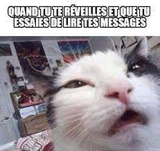 chat devant caméra quand tu te réveilles et que tu essaies de lire tes messages