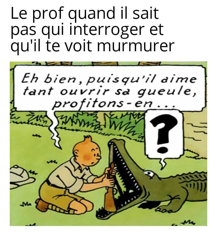 extrait bande dessinée tintin avec crocodile et carabine dans sa gueule