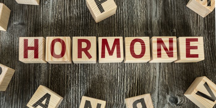 Hormone - Définition MegaDico